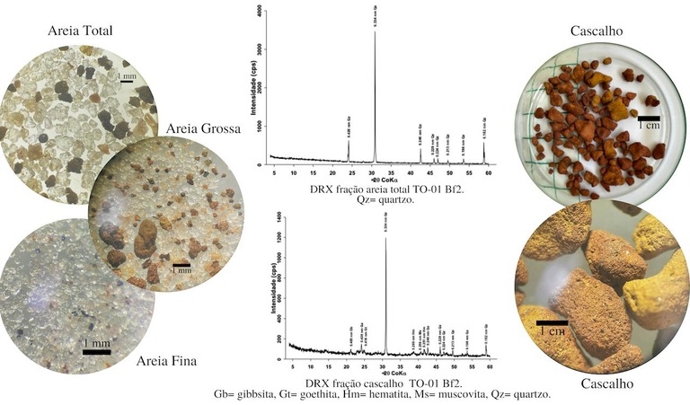 Crédito da ilustração: Caroline Delpupo